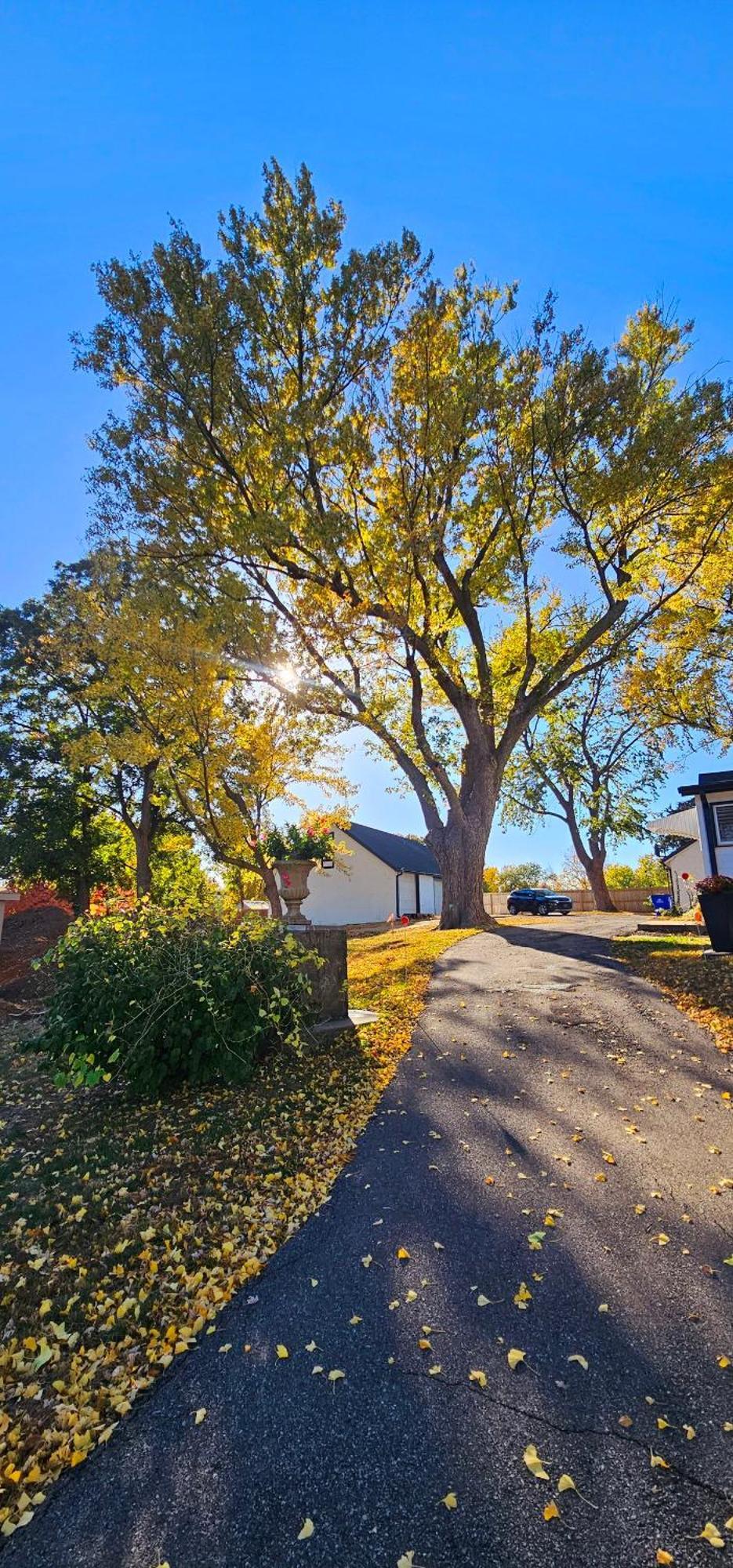 1908 Modern Farmhouse On Large Private Treed Lot Shawnee Eksteriør billede